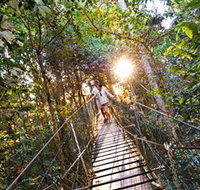 Tree Top Walkway - New Castle Holiday