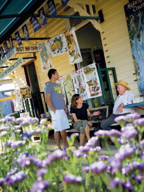 Alpha Petrified Wood - New Castle Holiday 0