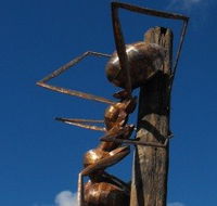 Augathella Meat Ant Park and Sculpture - New Castle Holiday