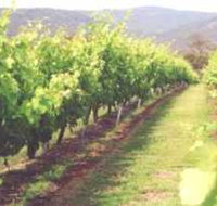 Girraween Estate - New Castle Holiday