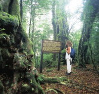 Tooloona Creek circuit - New Castle Holiday