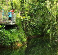 Djiru National Park - New Castle Holiday