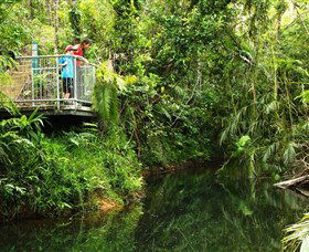 Djiru National Park - New Castle Holiday 0