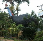 The Big Cassowary - New Castle Holiday