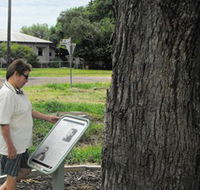 Augathella Kenniff Tree - New Castle Holiday