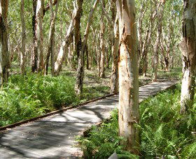 The Kommo Toera Trail - New Castle Holiday 0