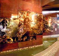 Riversleigh Fossil Centre - New Castle Holiday