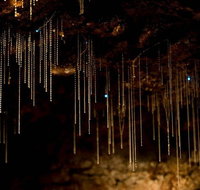 Cedar Creek Estate - New Castle Holiday