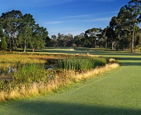 Commonwealth Golf Club - New Castle Holiday 0