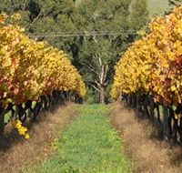 Wild Dog Winery  Restaurant - New Castle Holiday