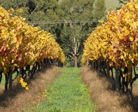 Wild Dog Winery & Restaurant - New Castle Holiday 0