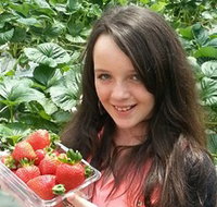 Yarra Valley Gateway Estate - New Castle Holiday