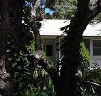 Melaleuca Gallery - New Castle Holiday