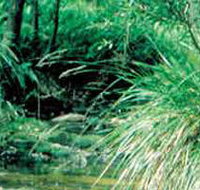 Lerderderg State Park - New Castle Holiday