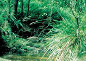 Lerderderg State Park - New Castle Holiday 0