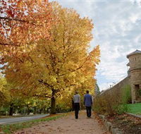 Indigo Gold Trail - New Castle Holiday