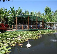 Blue Lotus Water Garden - New Castle Holiday