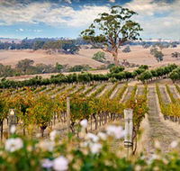 Redesdale Estate - New Castle Holiday