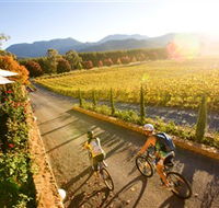 Boyntons Feathertop Winery - New Castle Holiday