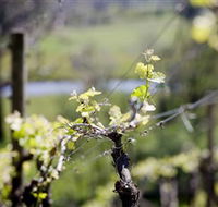 Norton Estate Wines - New Castle Holiday