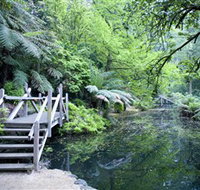 Alfred Nicholas Gardens - New Castle Holiday