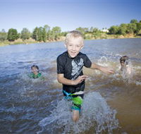 Lake Sambell Reserve - New Castle Holiday