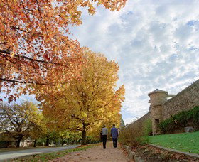 Beechworth Historic Park - New Castle Holiday 0