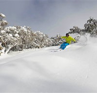 Mt Buller and Mt Stirling Alpine Resort - New Castle Holiday