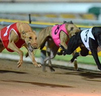 The Beckley Centre - New Castle Holiday