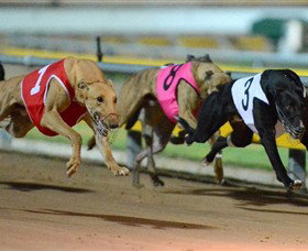 The Beckley Centre - New Castle Holiday 0