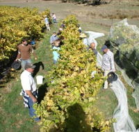 Blakes Estate Winery - New Castle Holiday