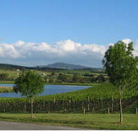 Yarrawood Estate - New Castle Holiday
