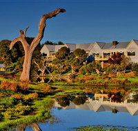 The Minya Vineyard  Winery - New Castle Holiday