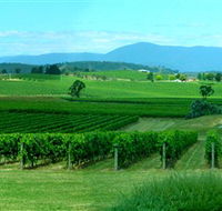 Acacia Ridge Vineyard - New Castle Holiday