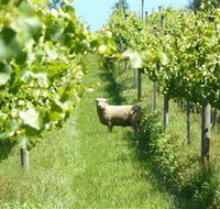 Passing Clouds - New Castle Holiday