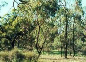 Appin South VIC New Castle Holiday