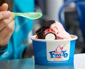 Mix And Go FroYo - New Castle Holiday 0