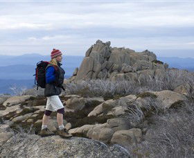 Mount Buffalo National Park - New Castle Holiday 0