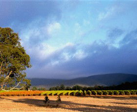 Mount Avoca - New Castle Holiday 0
