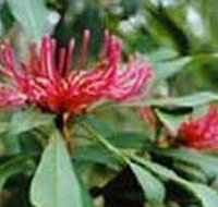 Alfred National Park - New Castle Holiday