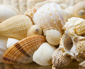 Anglesea Beach Club - New Castle Holiday 0