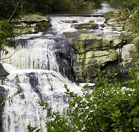 Agnes Falls Scenic Reserve - New Castle Holiday