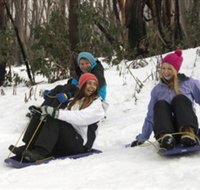 Lake Mountain Alpine Resort - New Castle Holiday