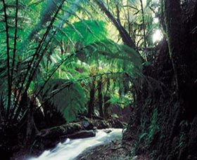 Lavers Hill VIC New Castle Holiday