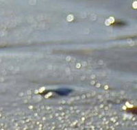 Cape Liptrap Coastal Park - New Castle Holiday