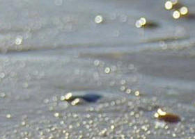 Cape Liptrap Coastal Park - New Castle Holiday 0