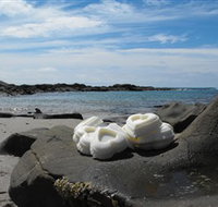 Calma Candles - New Castle Holiday