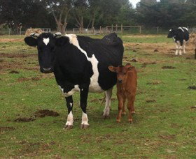 Diggers Rest VIC New Castle Holiday