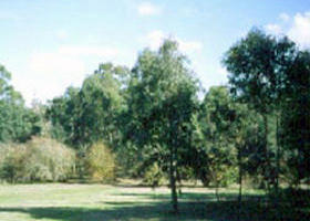 Sweeneys Flat - New Castle Holiday 0