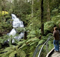 Great Otway National Park - New Castle Holiday